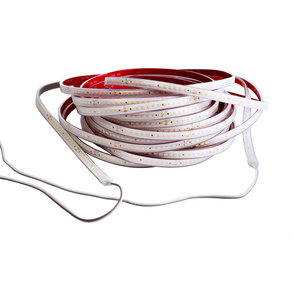 LED Stripes ab IP44 bei Elektro Lachner e.K. in Wemding
